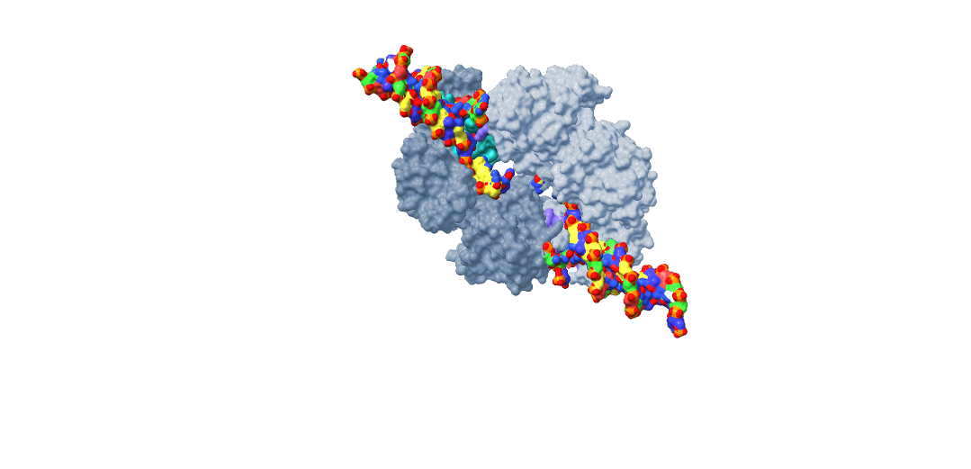 Close up of RNA molecule