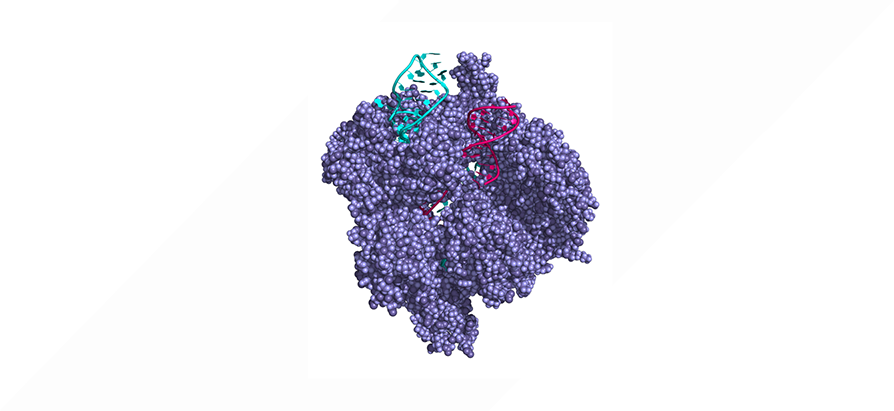 Close up view of molecule